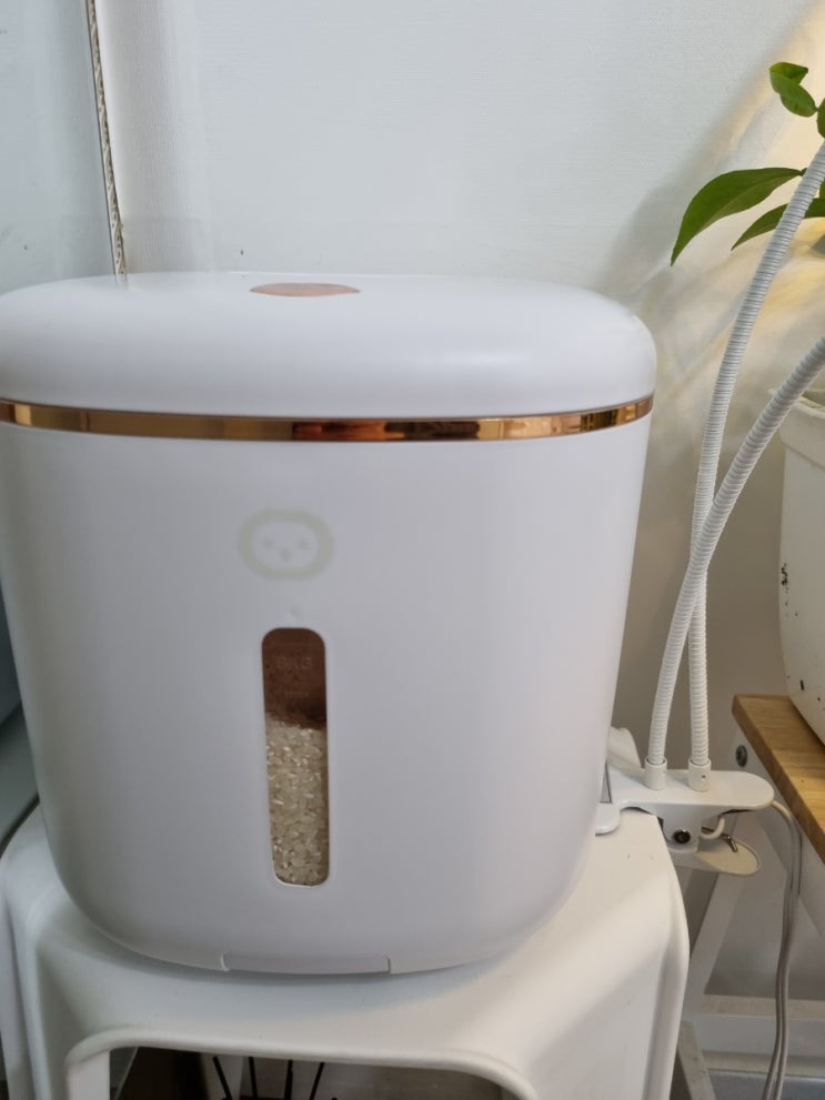 밥맛 살리 내돈내산 깔끔하고 모던한 10kg 밀폐 쌀통(벌레 햇빛차단) 밥맛 살리 내돈내산 깔끔하고 모던한 10kg 밀폐 쌀통(벌레 햇빛차단)