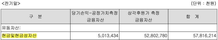  [더네이쳐홀딩스] 재무상태표(현금및현금성자산|재고자산|유형자산)