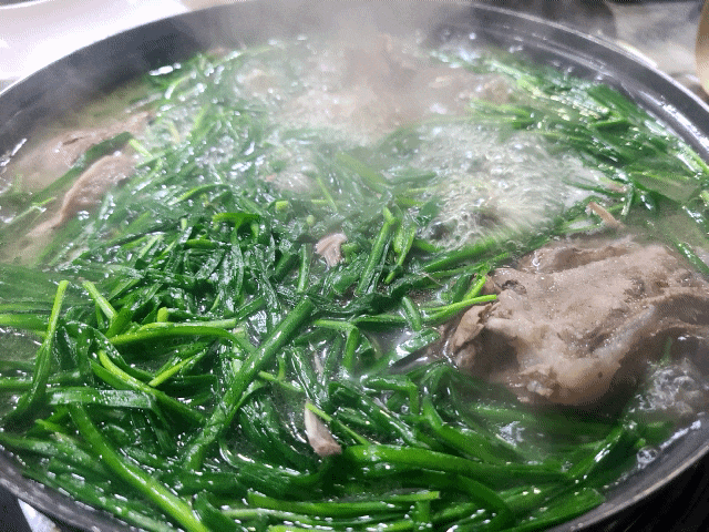  대전 서구 탄방동 맛집 남영이네 - 오리백숙, 홍어, 막걸리 맛집