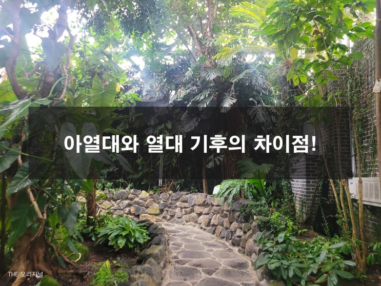  아열대와 열대 기후의 차이점, 대표식물! (포천 국립수목원 산림박물관)
