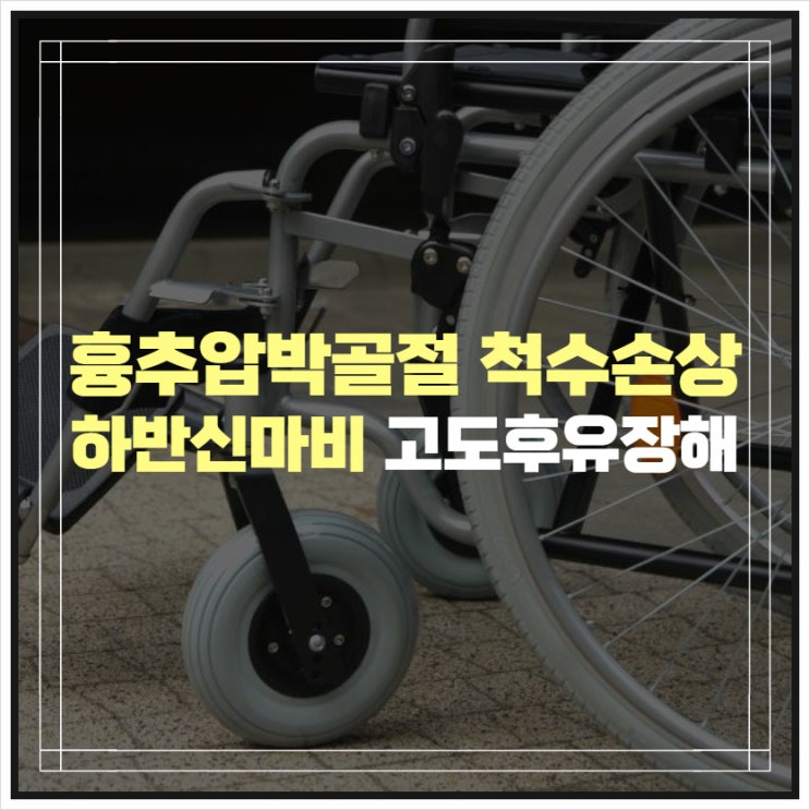 척추압박골절 척수손상 하반신마비 고도후유장해 사례