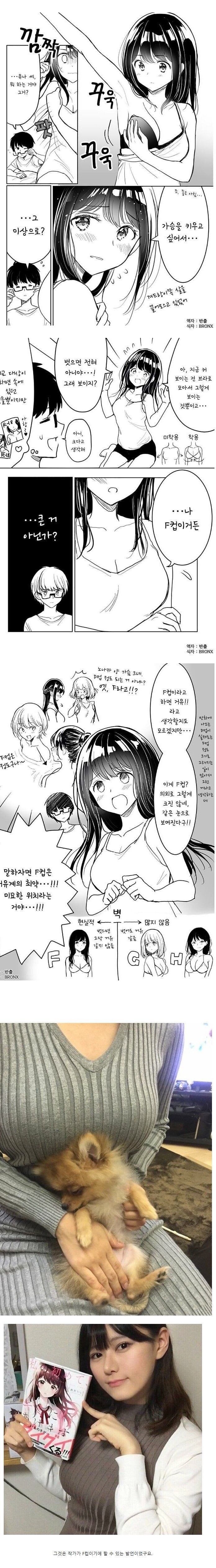  F컵이 작은이유