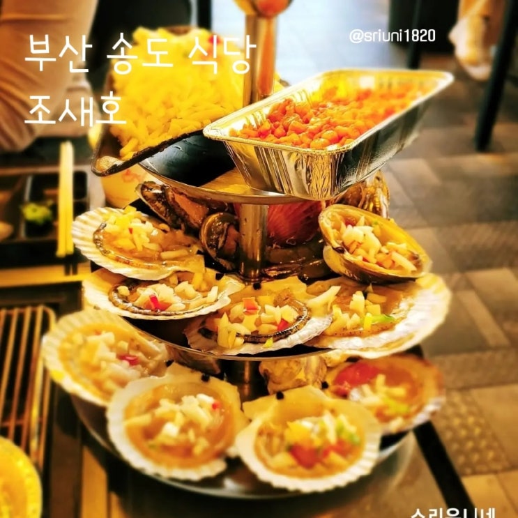  [식당] '23. 2월 4일 부산 송도 해수욕장 조개구이 독도새우 맛집 조새호 부산송도직영점