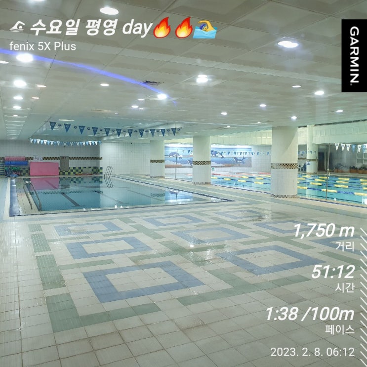  [수영일기] 2월 8일 평영 불태웠다!