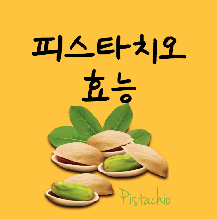 피스타치오 효능 다이어트 섭취방법 칼로리 부작용 알고 먹어요 피스타치오 효능 다이어트 섭취방법 칼로리 부작용 알고 먹어요