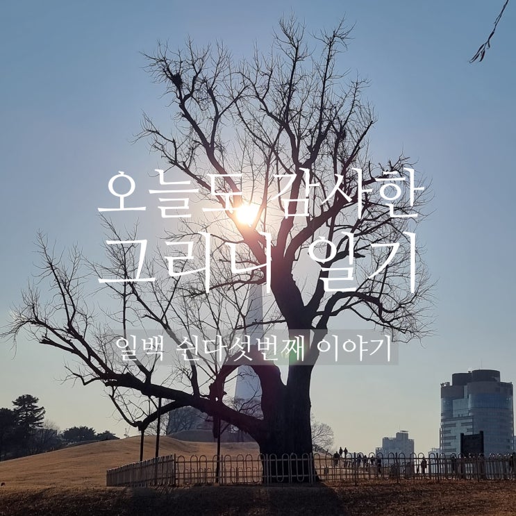  감사 일기 / #155 /  나를 소중히 여기고 사랑한 하루