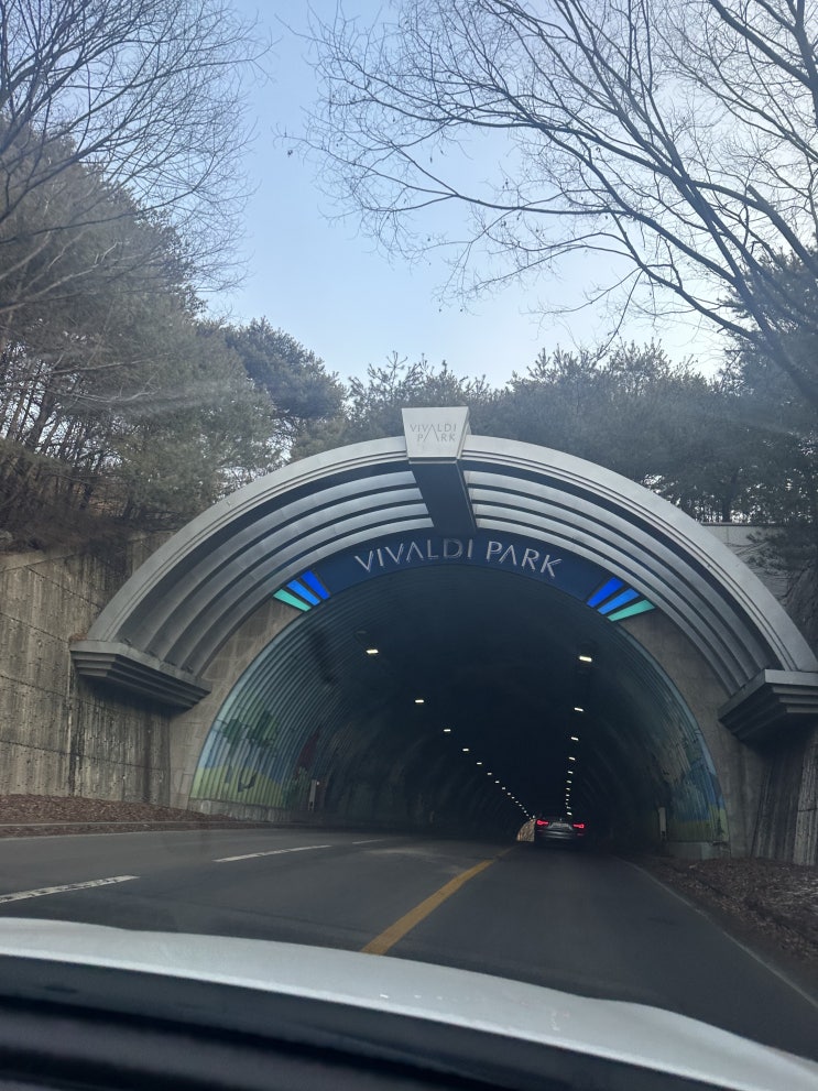  홍천 비발디파크 썰매장 스노위랜드 성인여행후기 및 할인팁