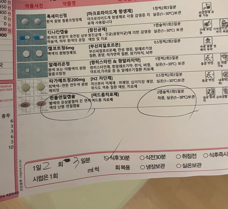 [지루성 피부염]을 진단 받다 박멸하기 제품추천 (내돈내산) 이소티논 항생제 복용 시드물