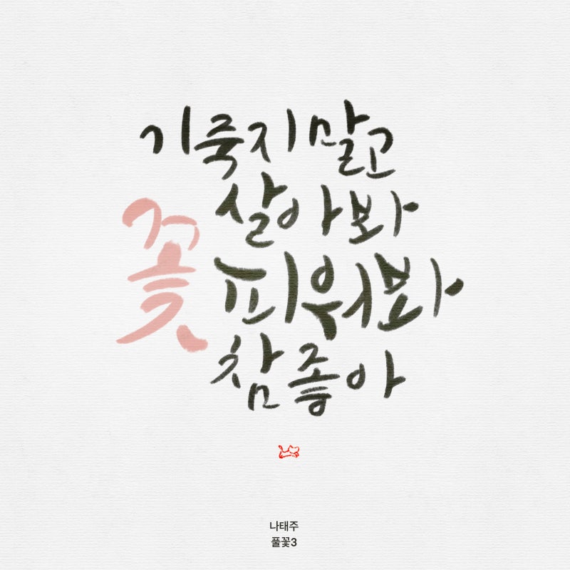 사랑 시 추천 나태주 풀꽃 1,2,3 : 네이버 블로그