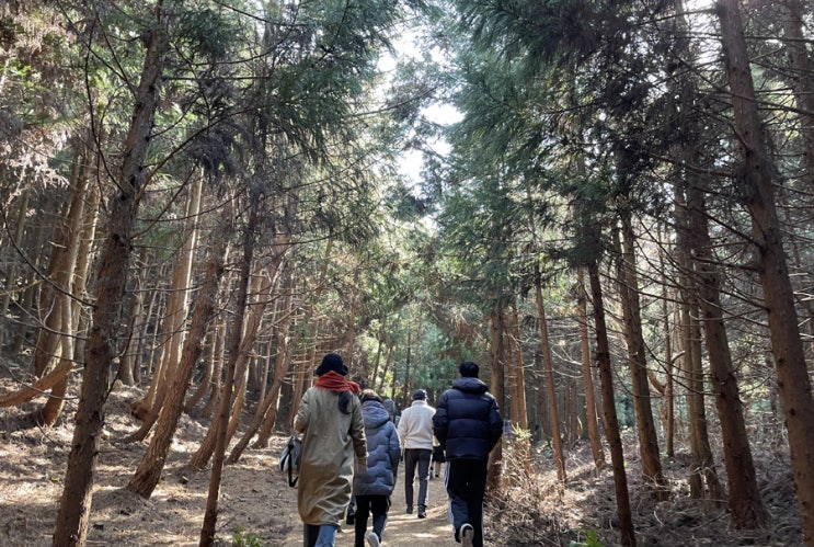 제주 일상 기록 서른여섯번째_2월 02