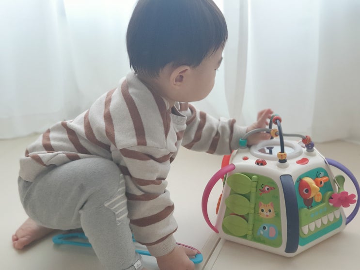  블루래빗 유아완구인 아이큐베이비를 통해 멀티 자극 발달!