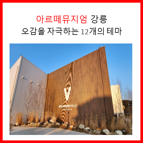 아르떼뮤지엄 강릉. 오감을 자극하는 12개의 테마