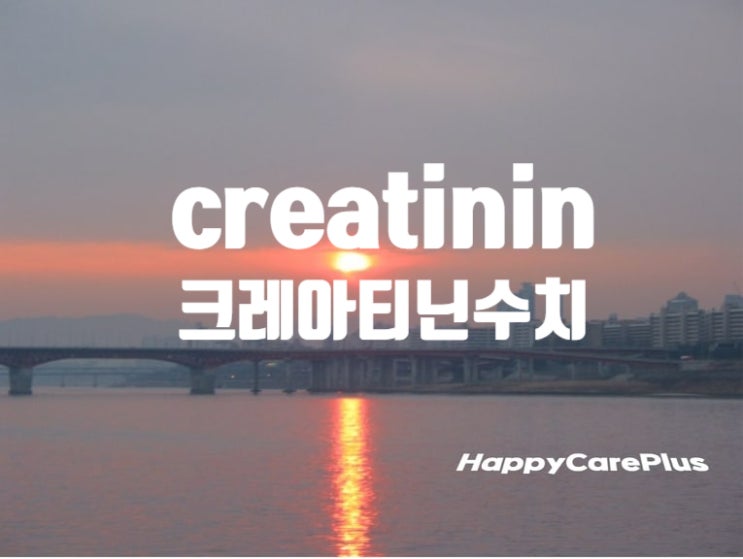  Creatinine 수치/ 크레아티닌수치 높으면/ 낮으면