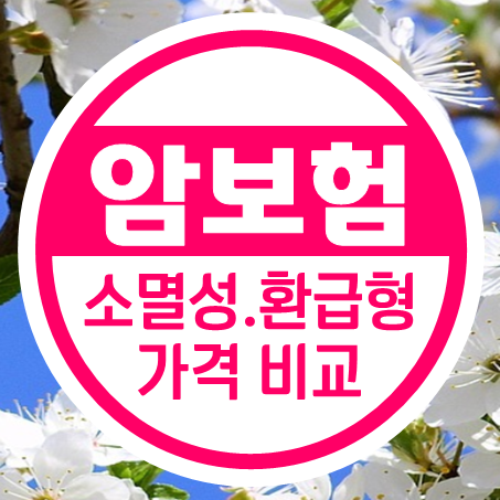  순수보장형암보험 보장성 가입조건과 만기환급형암보험 비교 후 결정하세요.