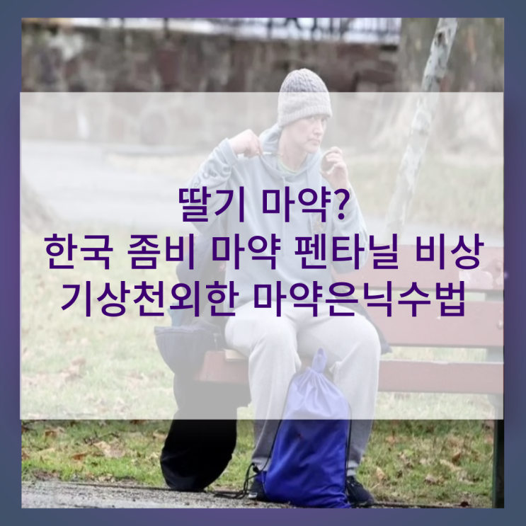  딸기 마약? 한국 좀비 마약 펜타닐 비상 고등래퍼 윤병호 증상/ 1020이 위험하다 / 기상천외 마약밀수 은닉수법