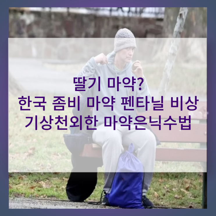 딸기 마약? 한국 좀비 마약 펜타닐 비상 고등래퍼 윤병호 증상/ 1020이 위험하다 / 기상천외 마약밀수 은닉수법