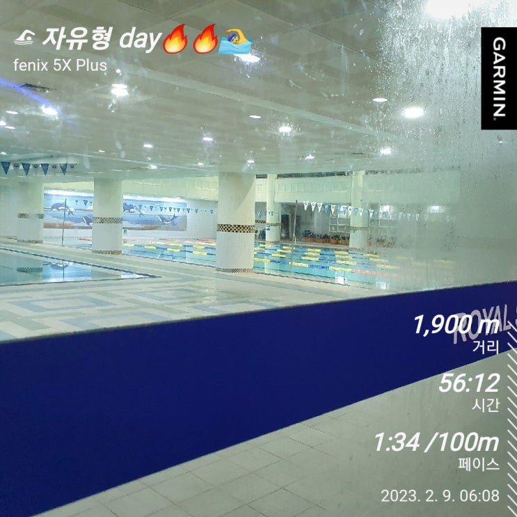  [수영일기] 2월 9일 접영 칭찬받음!