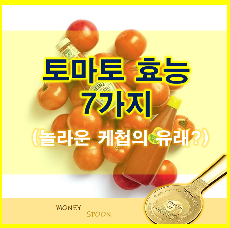 토마토 효능 7가지 ft, 토마토케첩 유래?