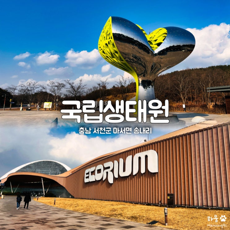  충남 대표관광지 국립생태원 미디리움/에코리움 주차장 입장료