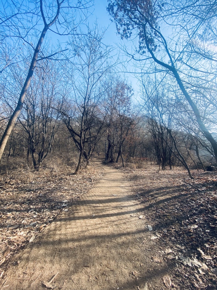  아침 산행 기록 (2023.02.09)