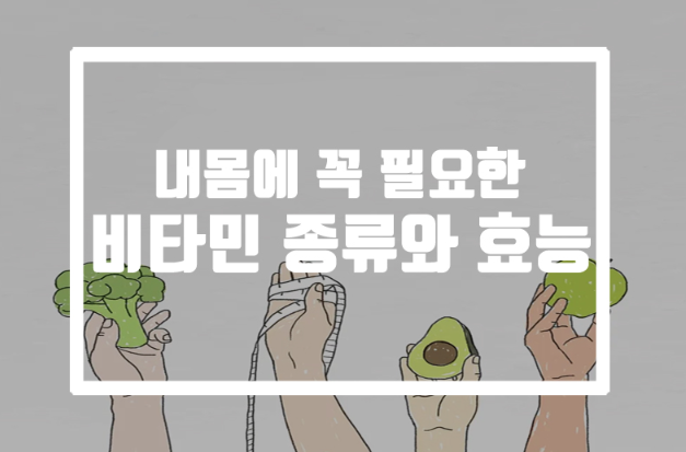  우리 몸에 없어서는 안될 필수품, 비타민 종류와 효능