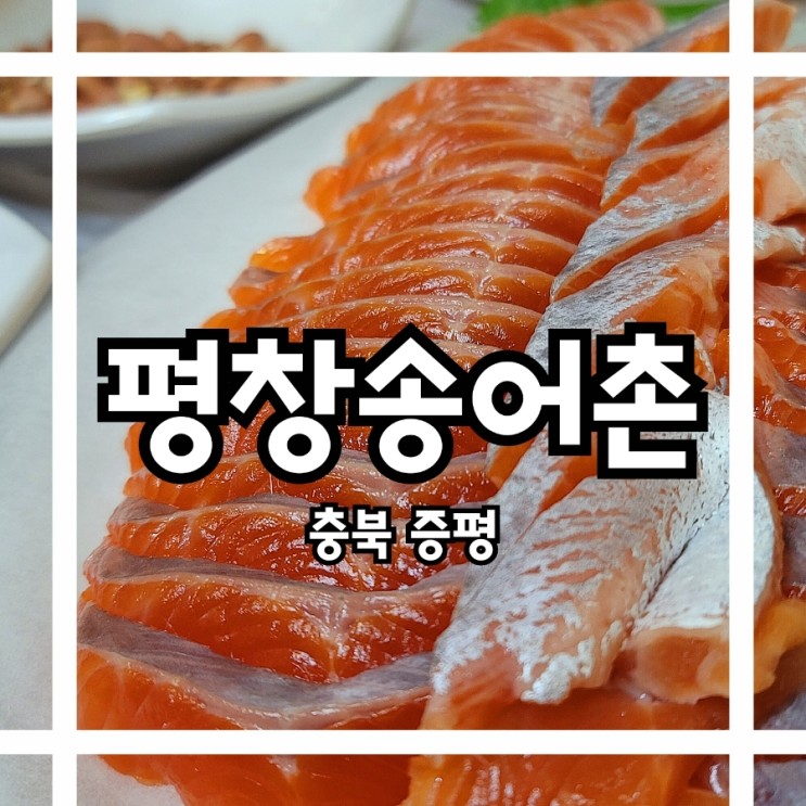 증평맛집 제철 송어 맛있게 먹고 온 송어비빔회전문점 #평창송어촌
