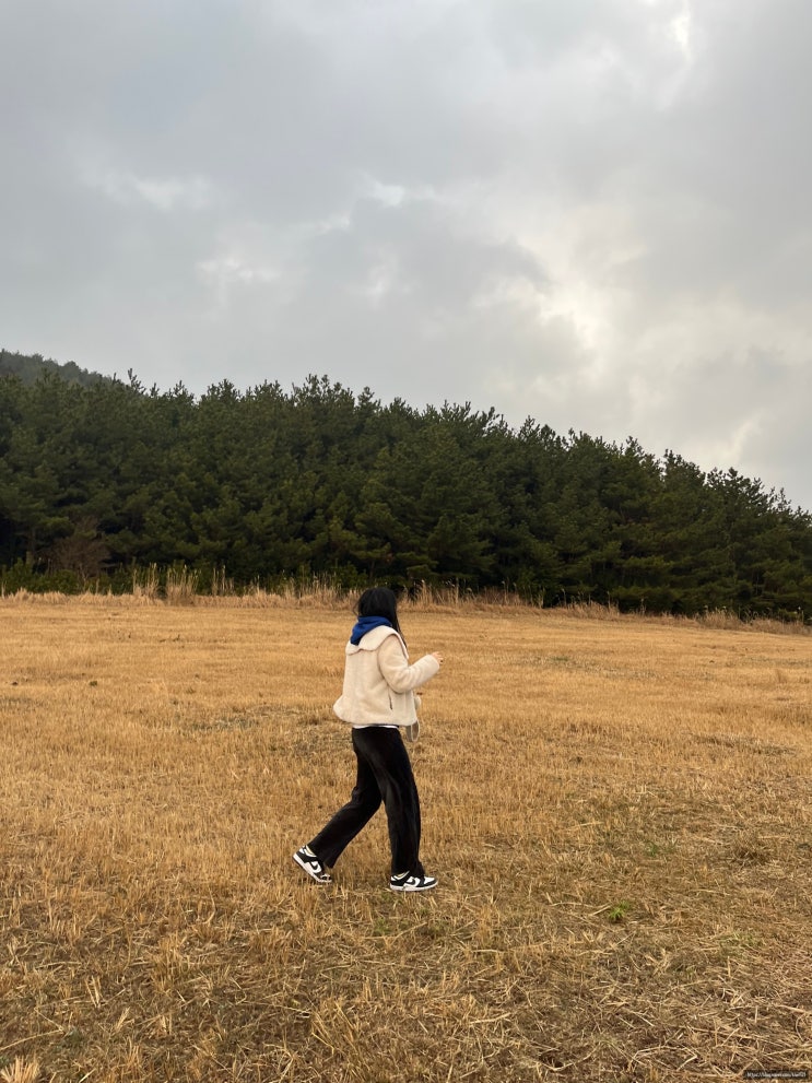  2023년 1월 제주도 여행