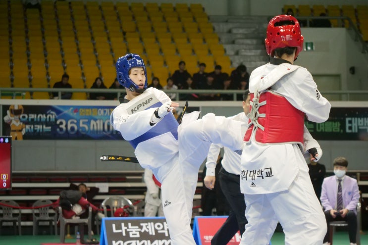 이다빈-<b>강상현</b> <b>태권도</b> 국가대표 승선