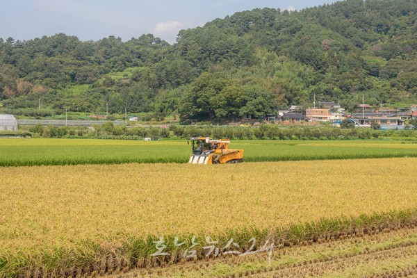  전남도, 식량산업 경쟁력 강화 12개 핵심사업에 7천 550억 지원
