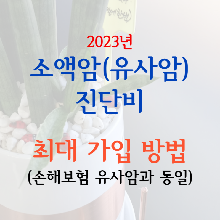  최소보험료로 유사암진단비 최대 보장받는 방법을 알려드리겠습니다