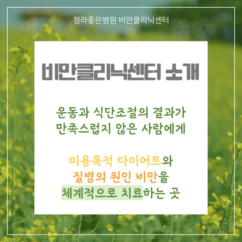 청라비만클리닉과 함께 다이어트 식단을 현명하게 짜는 방법 1