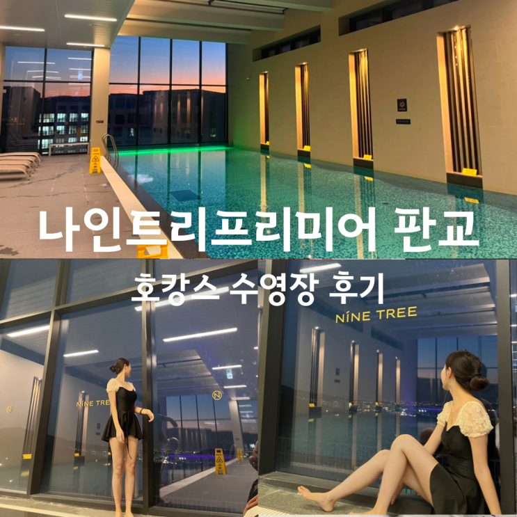  나인트리 프리미어 판교 수영장 솔직후기 (판교 나인트리 호텔 호캉스)
