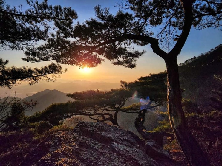 다 이렇게 살면 될 것을