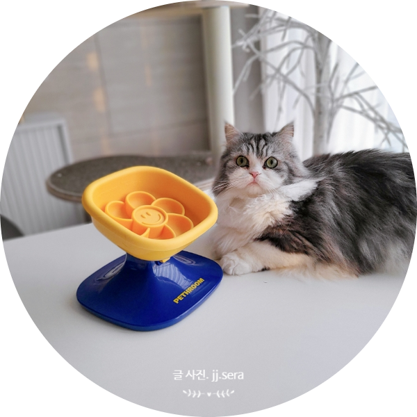 고양이밥그릇 : 페스룸 급체방지식기로 사료토 예방해 주세요