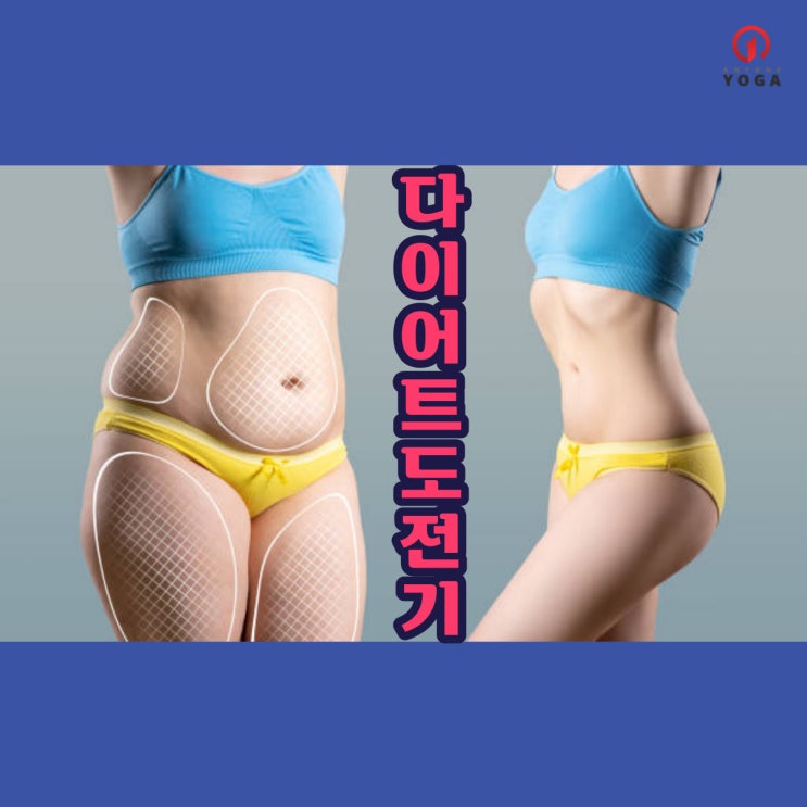  뱃살 러브핸들 이제 안녕 다이어트 도전기 ㅣ 마두 요가
