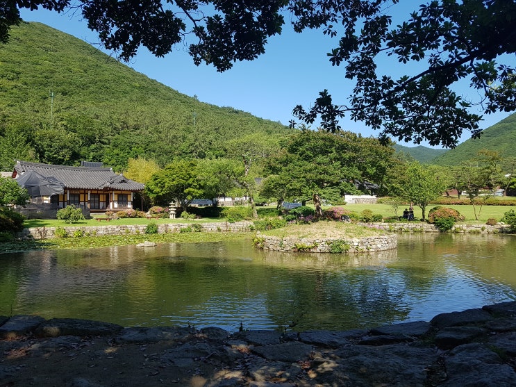  법률상담-부모 사망시 상속포기한 자녀가 이후 조부모 사망시 대습상속 또한 포기로 인정되는지 여부