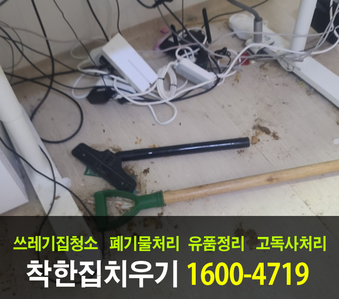  쓰레기집청소로 집을 원상복구하기