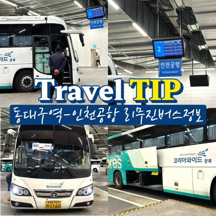  동대구에서 인천공항 가는법 동대구터미널 공항버스 시간표/요금정보