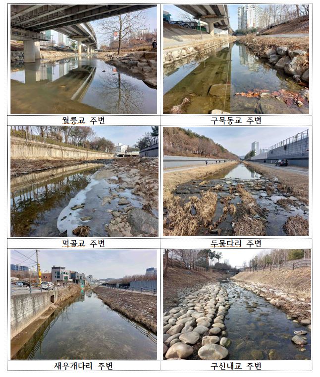 박승진 서울시의원, 친환경 생태하천인  중랑구 묵동천 현장 점검, 친환경 생태하천으로 조성