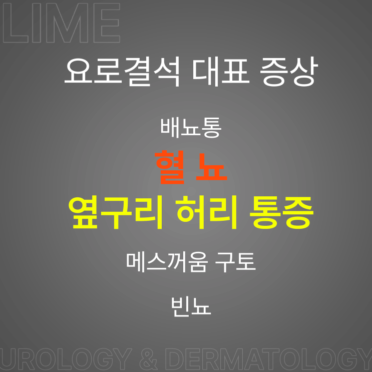  대구 비뇨기과 추천 많은 라임비뇨기과와 함께 요로결석 증상에 대해