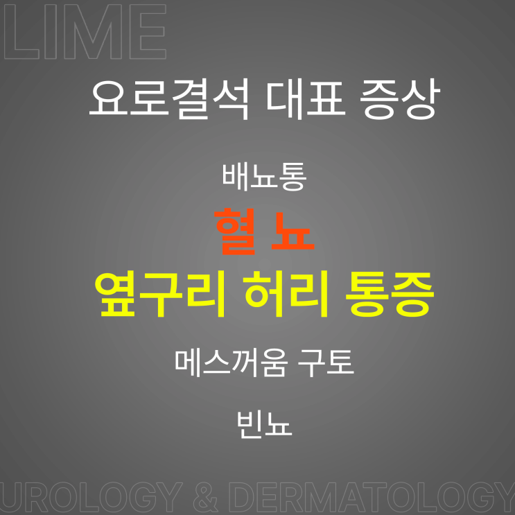 대구 비뇨기과 추천 많은 라임비뇨기과와 함께 요로결석 증상에 대해