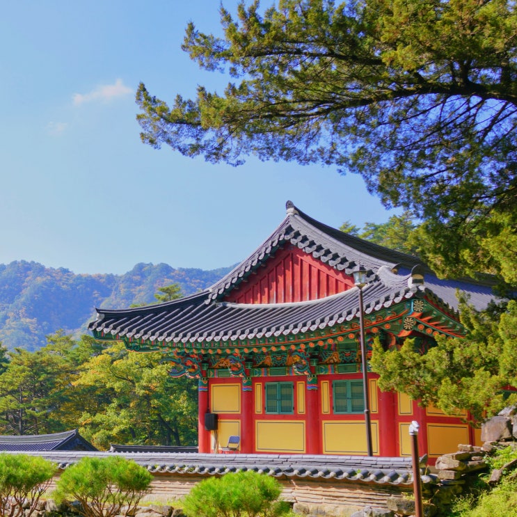 한국어교원자격증 3급 취득방법 (한국어교원양성과정, 한국어교육능력검정시험 등) 한국어교원자격증 3급 취득방법 (한국어교원양성과정, 한국어교육능력검정시험 등)