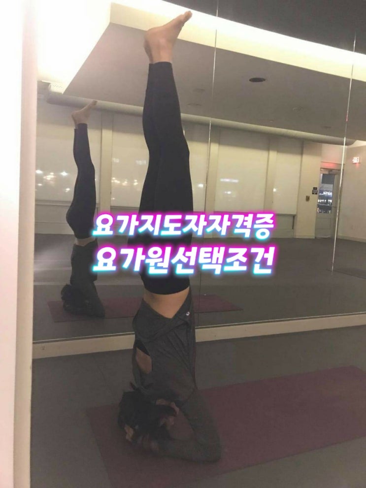  [요가]요가강사/요가지도자자격증 RYT200 이수를 위한 요가원 선택조건 공유해봅니다.