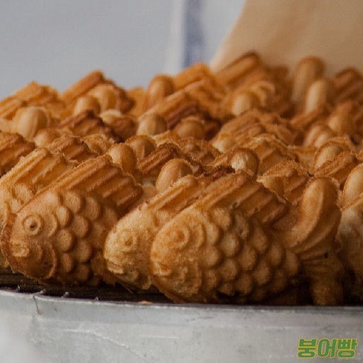  잉어빵과 붕어빵의 차이점?