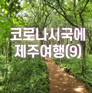  [2021.05 제주] 코로나시국에 제주여행(9)_비자림, 비자림가는길, 입장료, 머물다정식, 만장굴 입장시간, 비용, 제주동굴
