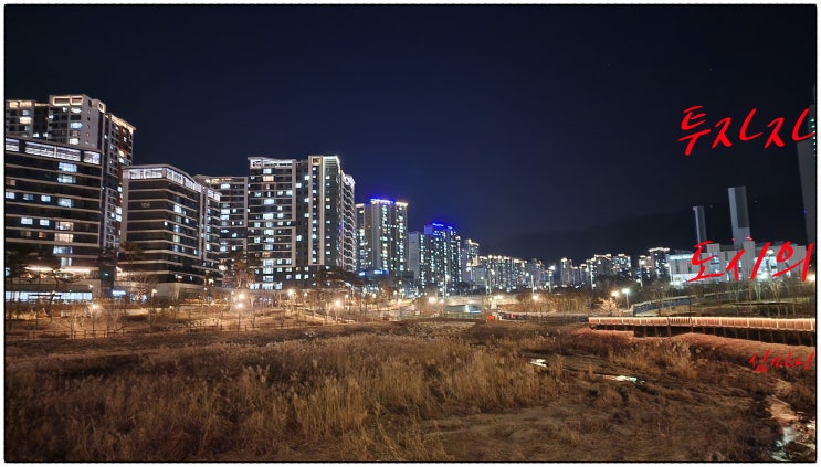  부동산 투자자는 도시의 심마니(땅꾼). 수익률 상승 위해 발품 팔아야!
