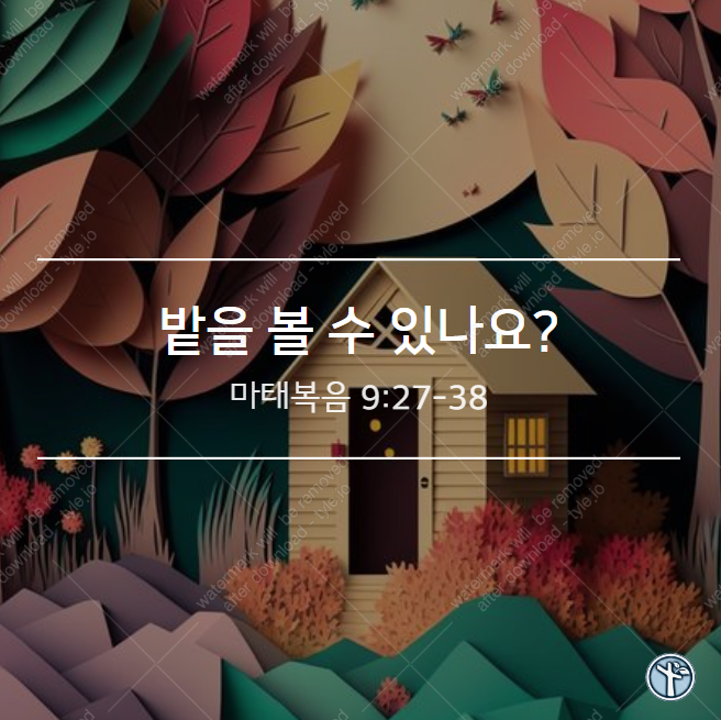  밭을 볼 수 있나요?