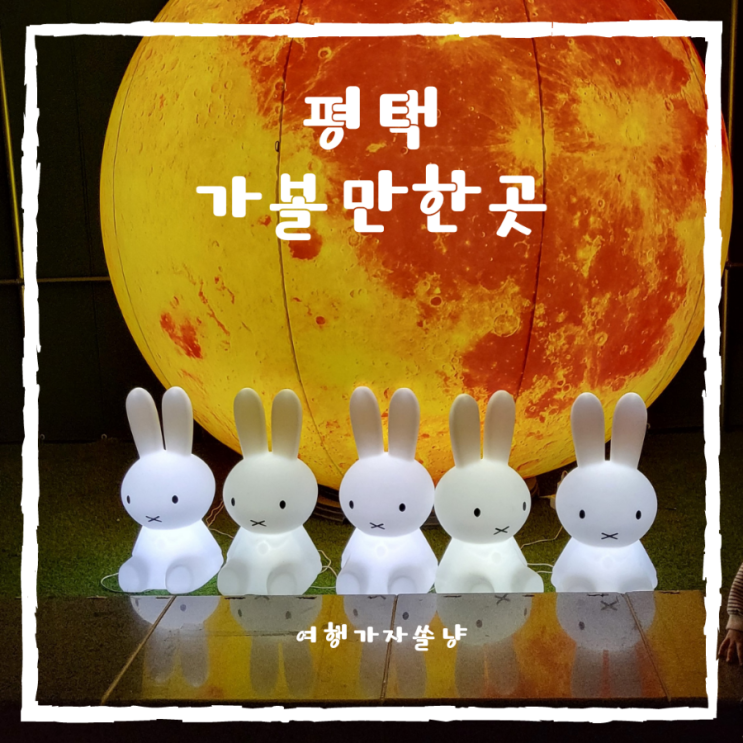  평택 데이트 코스 맛집 카페 실내동물원까지 아이와 평택여행