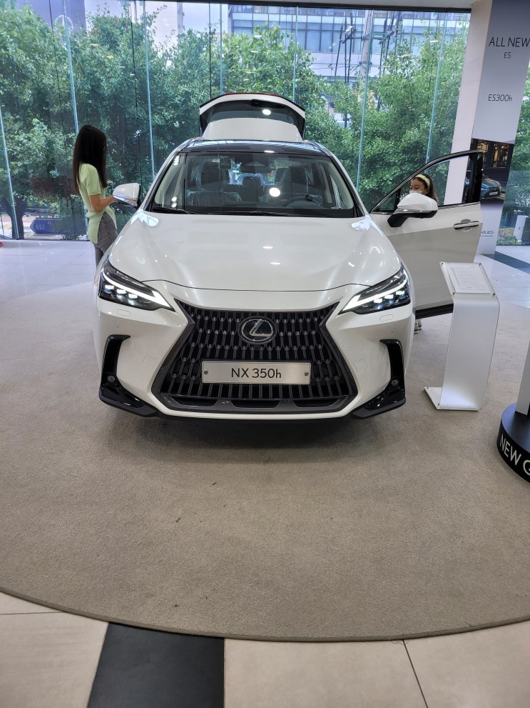  일본 렉서스 2023 NX450H 플러그인 하이브리드 전기 자동차