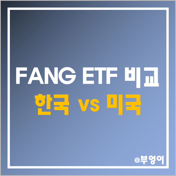 KODEX 미국 FANG 플러스, FNGS ETF 주가 및 배당 수익률 (메타 플랫폼스 페이스북 애플 아마존 알파벳 넷플릭스 구글 엔비디아 테슬라 주식 관련주 및 구성 종목)